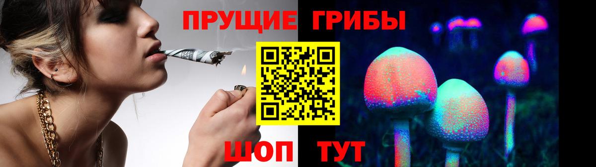Кольчугино  Псилоцибиновые грибы Psilocybine cubensis  Галлюциногенные грибы Cubensis  Вход с VPN 